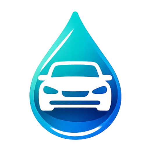 Lavage auto à domicile Brains